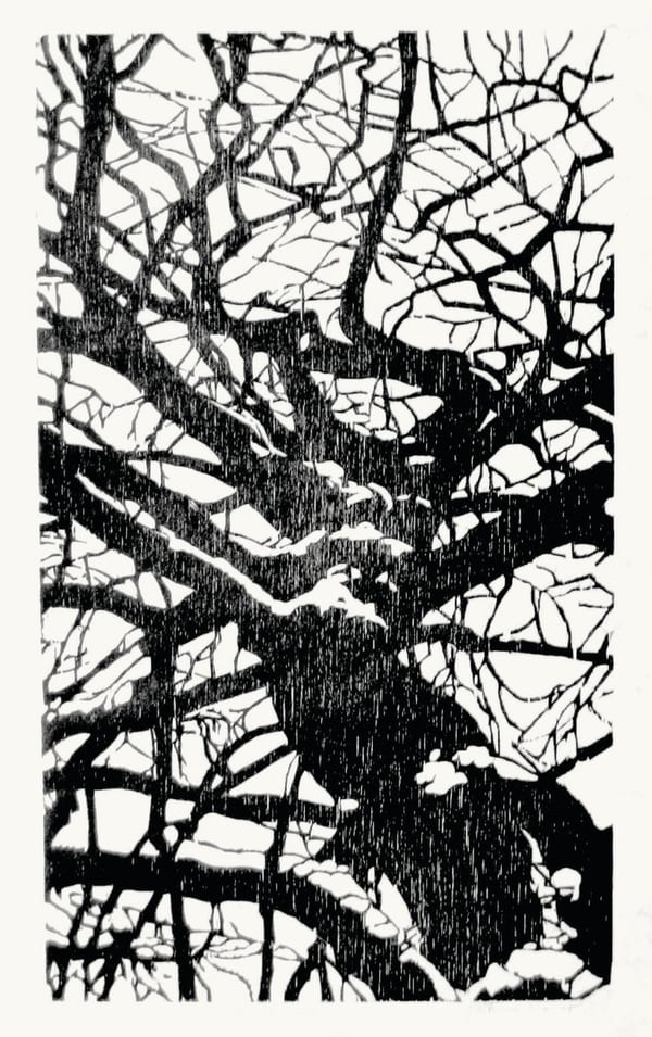 Anne Desmet R.A., Tree with Snow, 1985