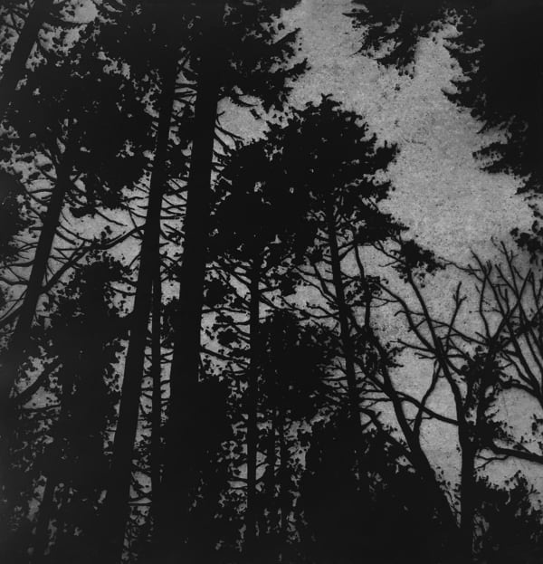 Blaze Cyan R.E.,, Dark Falls, 2018