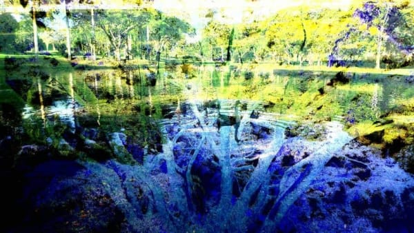 Rodrigo Tamayo, Blue Lagoon, 2017