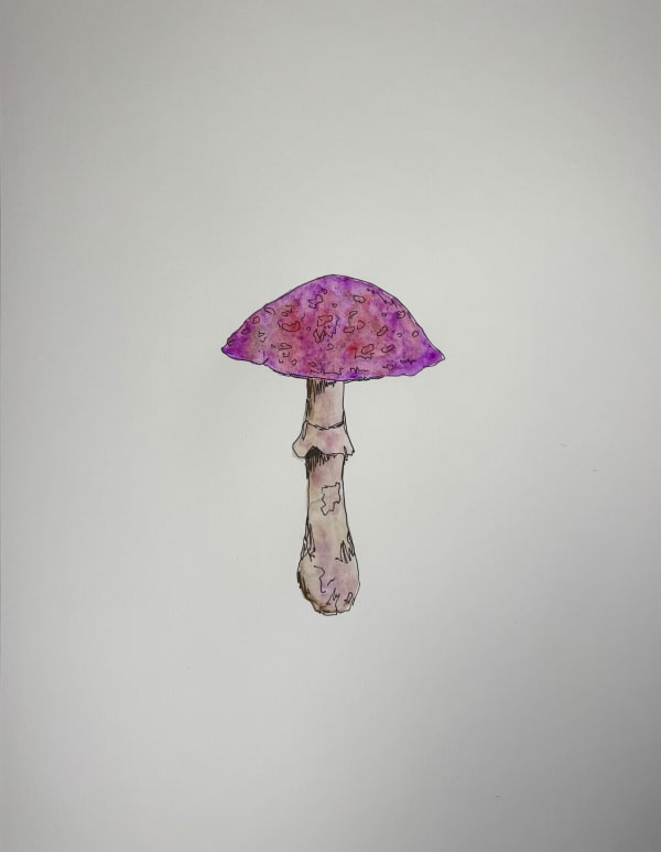 Bari-Lynn Friedlander, Purple Mushroom, 2025