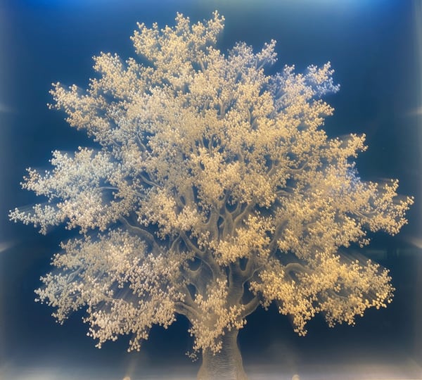 Tatyana Murray, SUMMER DREAMING, 2023