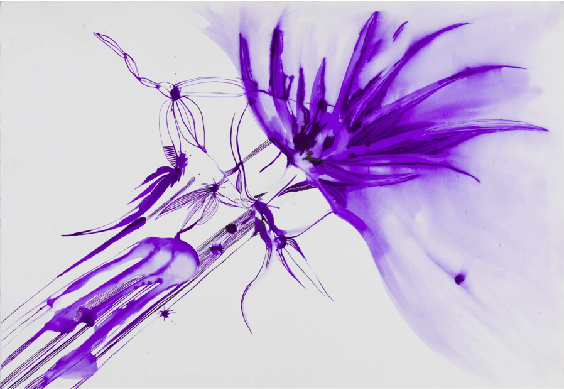 Coty Cisne, Kiss, 2020