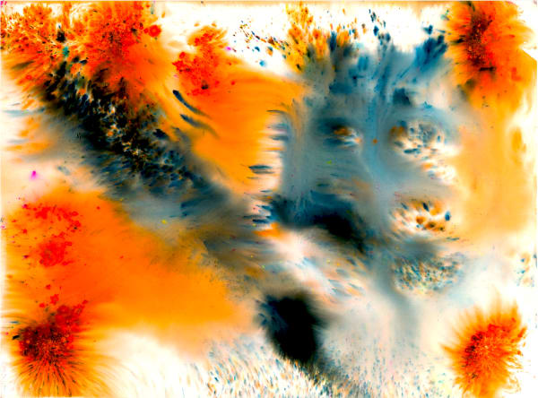 Coty Cisne, Minnow, 2020