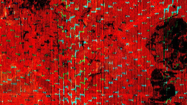 Rodrigo Tamayo, Red Spot, 2017