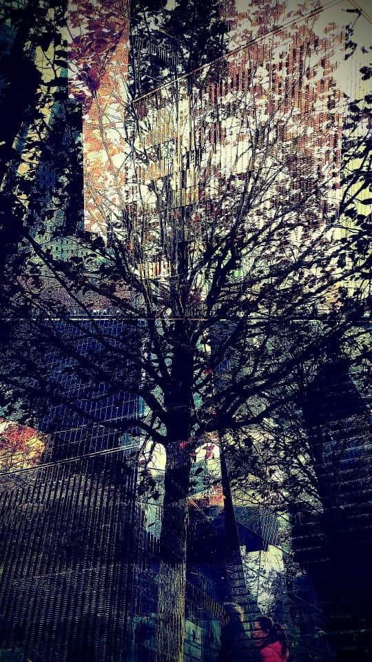 Rodrigo Tamayo, Concrete Leaves, 2017