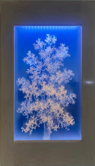 Tatyana Murray, SUMMER DREAMING