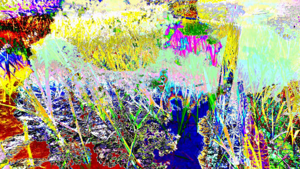 Rodrigo Tamayo, Blue Shadow , 2017-2018