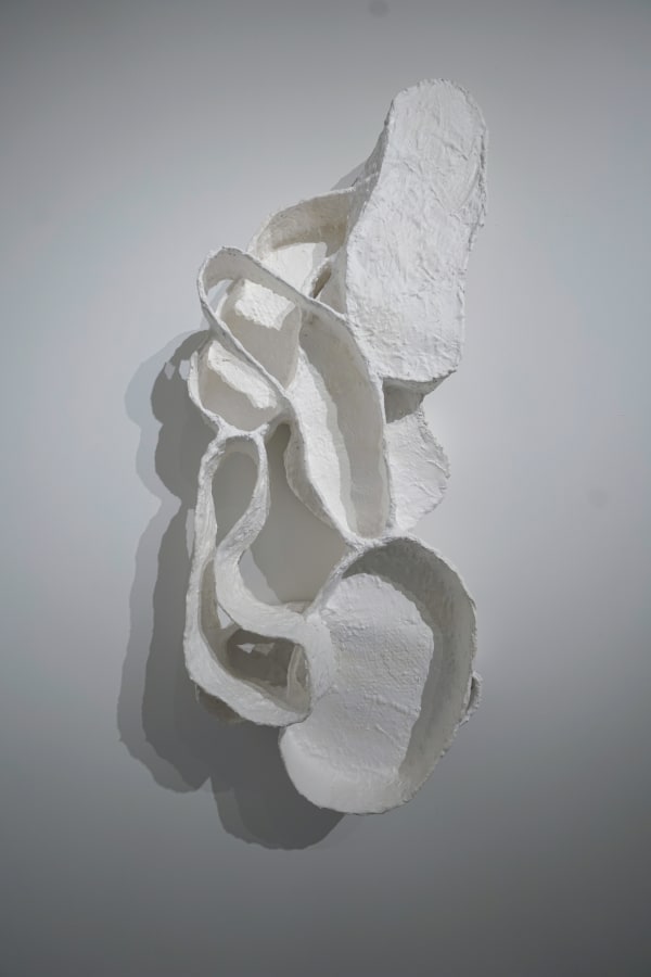 Su Chang, 20220116, 2022