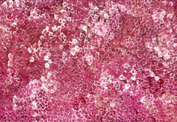 Bush Plum Dreaming by Belinda Golder Kngwarreye