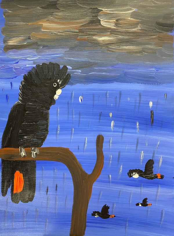 Red-tailed Black Cockatoos in the Rain by Kukula McDonald
