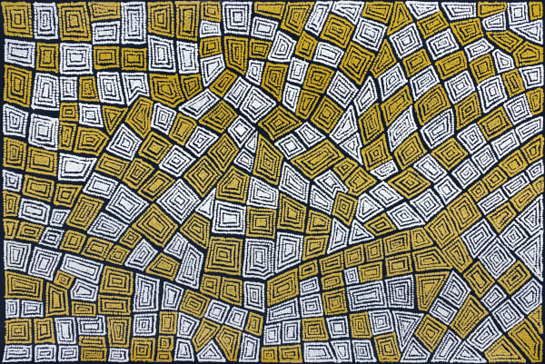 My Country, My Place by Maureen Hudson Nampajinpa