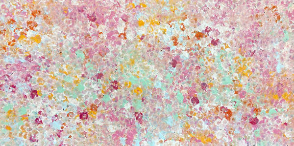 Bush Plum Dreaming by Belinda Golder Kngwarreye