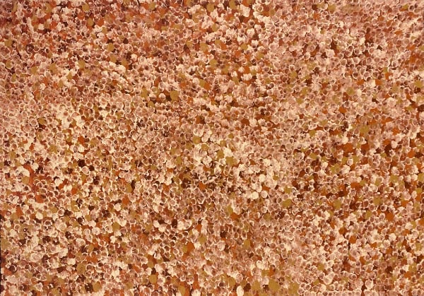 Bush Plum Dreaming by Kate Pitjara, 2025