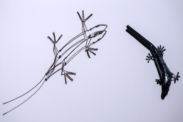 Eduardo Malé #Lagartos, 2025 Burnt wire Variable Dimensions