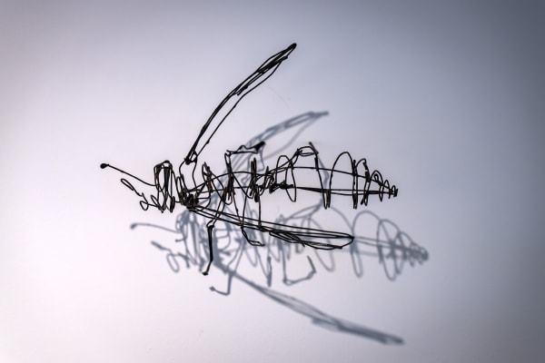 Eduardo Malé #Abelhas, 2025 Burnt wire Variable Dimensions