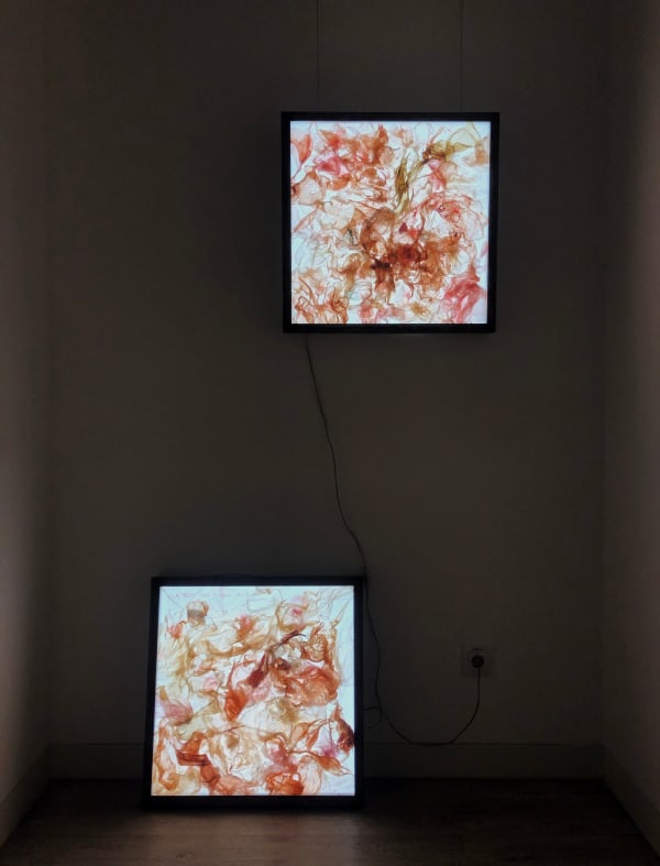 Salomé Nascimento, Vunus I / Vulnus II, 2022