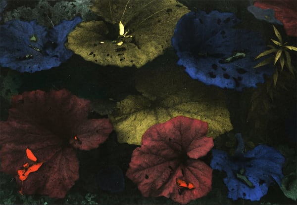 Sidonie Hadoux The roots are in the air (Series: Explorations), 2021 Glicée print on Fine Art Matt paper (ed. 3) 60 x 40 cm