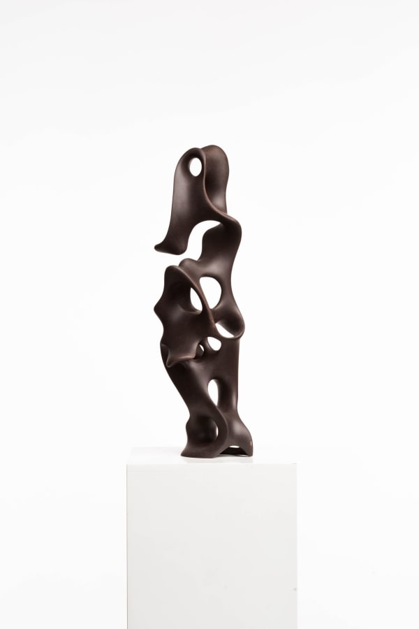 Driaan Claassen Close your eyes and feel, 2024 39m x 13cm x 12cm Neural Pathway (Ceramic Organic 014)
