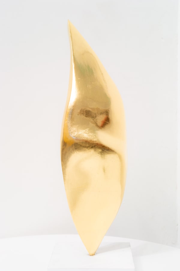 Abdus Salaam, Breath of Gold, 2022