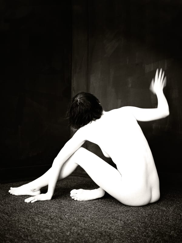 Johno Mellish, Wild Natural Setting — Suite of 29 Photographs, 2022