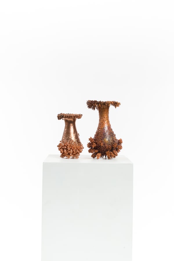 Driaan Claassen, Chance Encounter, 2022