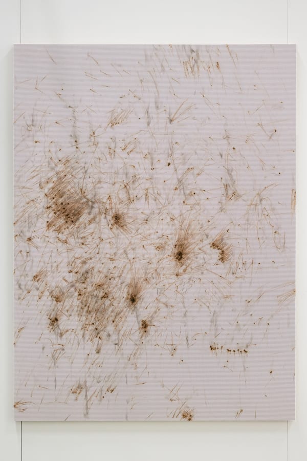 Thomas Wachholz, Matches 2, 2017