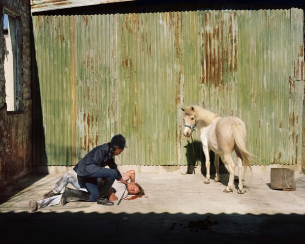 Johno Mellish, Accident in the Stable, 2019