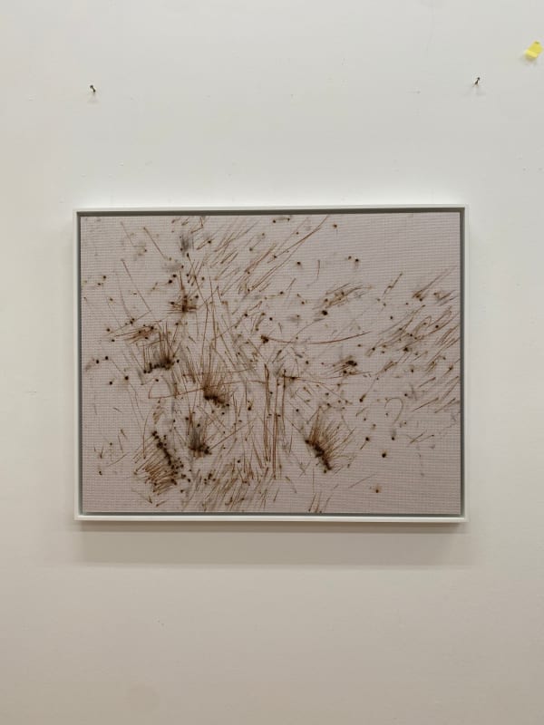Thomas Wachholz, Honeycomb, 2022