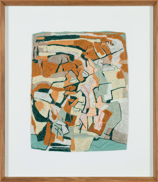 Amy Rusch Constellating (with insects), 2022 40.5 x 47 x 4.5cm Found Plastic Bags and Thread