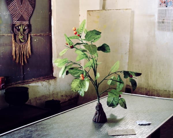 Johno Mellish Garage Still Life, 2019 16 x 20 cm | 32 x 40 cm Chromogenic print. Signed and numbered in ink on a label accompanying the print. Edition of 8 plus 2 artist's proofs