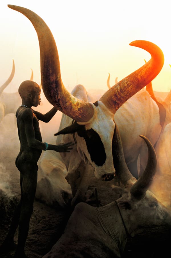 Carol Beckwith and Angela Fisher, Dinka Boy with Long Horned Bull, South Sudan, 2006