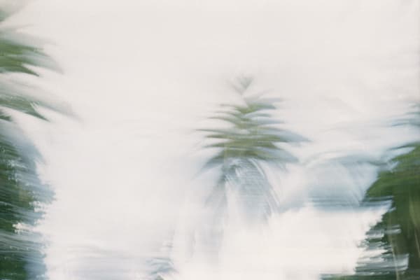 Kuba Freter Untitled 09 , 2023 21 x 29.7 cm Archival Pigment Print Edition of 15 plus 2 artist's proofs