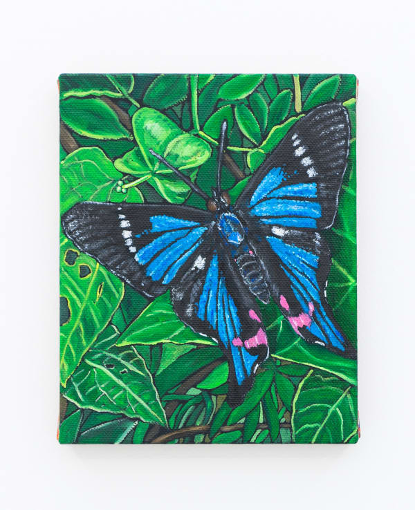 Matteo Callegari Blue Doctor, 2022 Oil on indian linen 25 x 20 cm