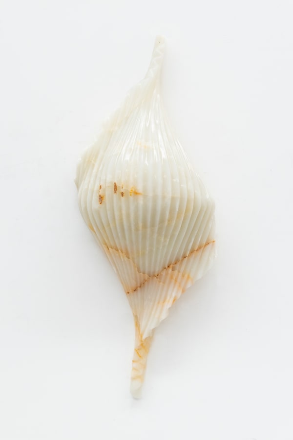 Lynda Benglis Gone Gone, 2024 white ice onyx 121 x 26 x 45 cm