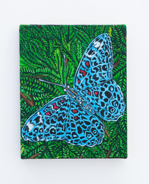 Matteo Callegari Messenger, 2022 Oil on indian linen 20 x 25 cm