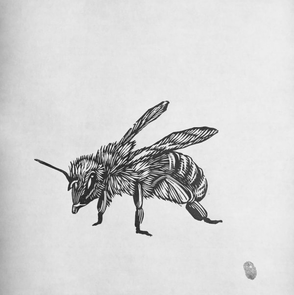 Osmeivy Ortega, Bee No. 2, 2024