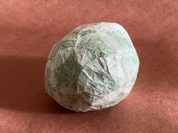 Elsa Mora, RESURRECTION FERN, 2023