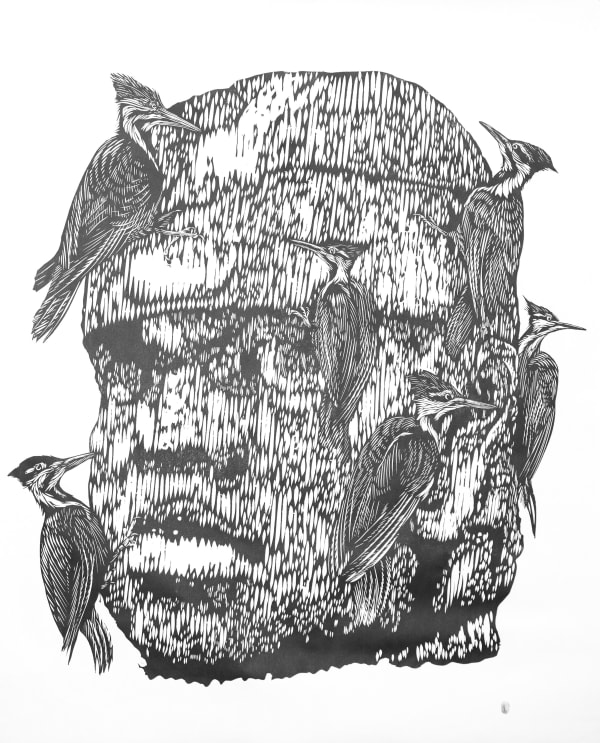 Osmeivy Ortega, Salt, 2024