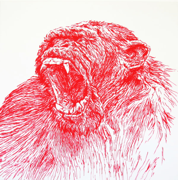 William Pérez, Chimpanzee 1 (Living Nature), 2022