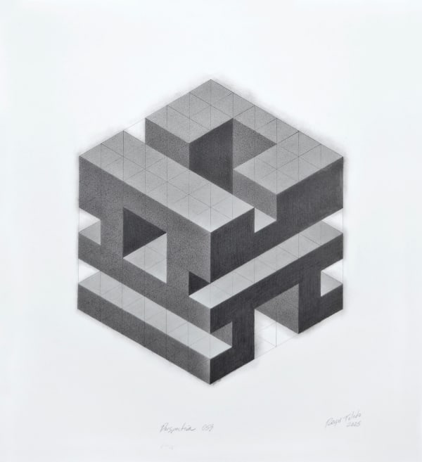 Roger Toledo, Perspectiva 059, 2025