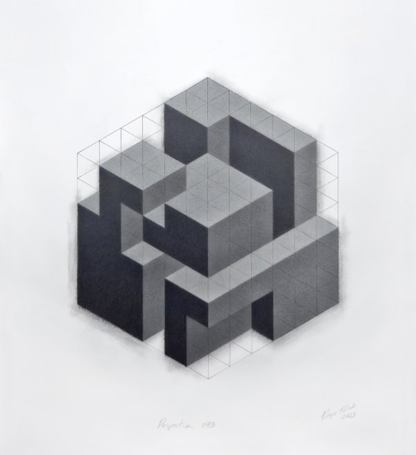 Roger Toledo, Perspectiva 043, 2025