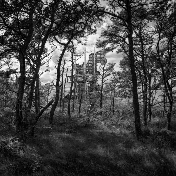 Adrián Fernández, Untitled No. 20, 2019