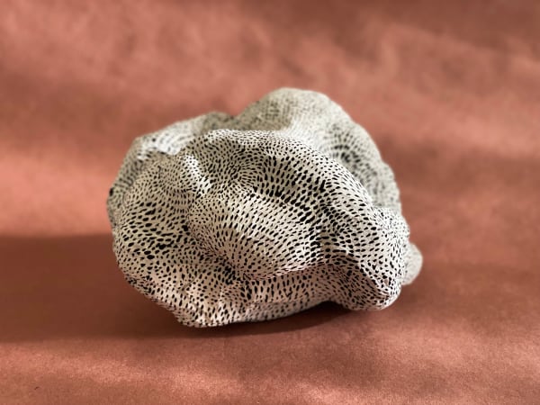 Elsa Mora, SPECKLES, 2023