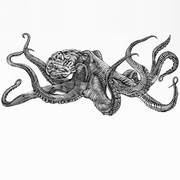 Osmeivy Ortega, Other minds, 2019