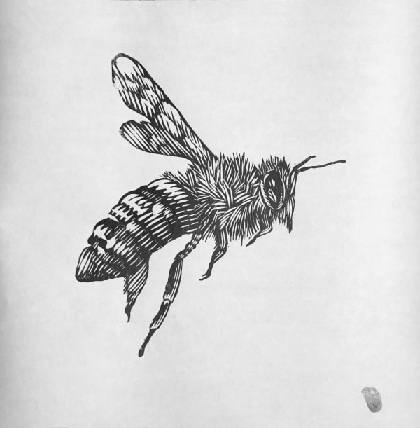 Osmeivy Ortega, Bee No. 1, 2024