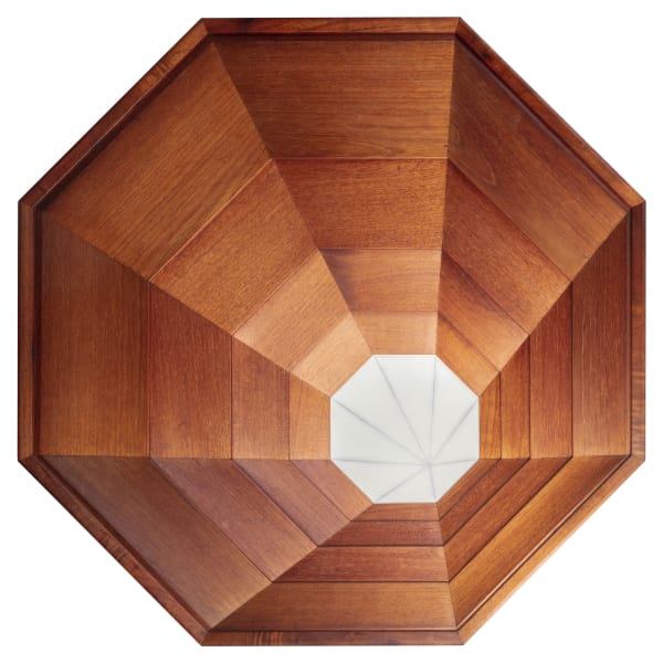 Roger Toledo, Octagon, 2022