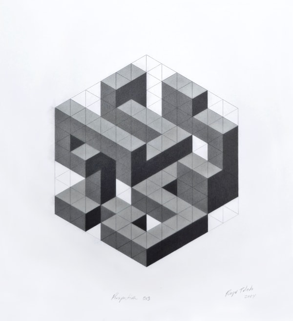 Roger Toledo, Perspectiva 013, 2024