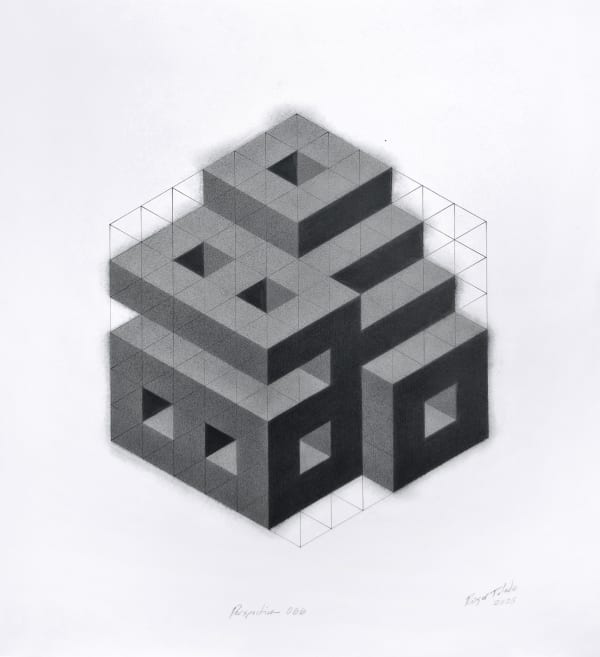 Roger Toledo, Perspectiva 066, 2025