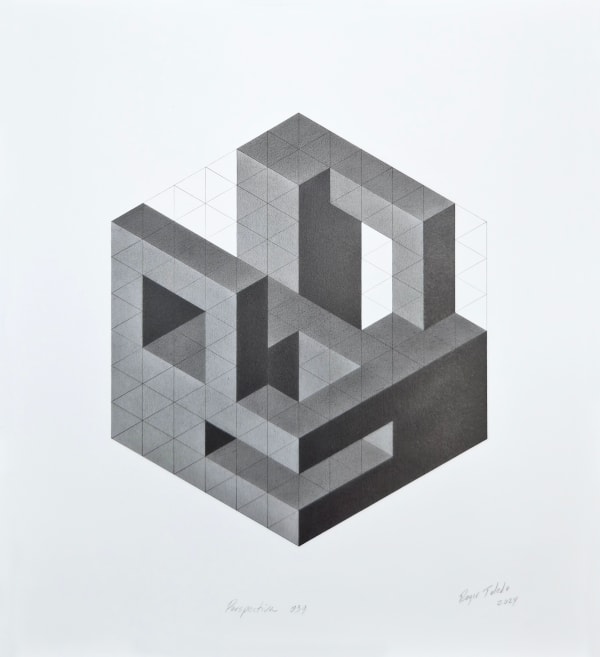 Roger Toledo, Perspectiva 039, 2024