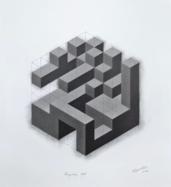 Roger Toledo, Perspectiva 048, 2025
